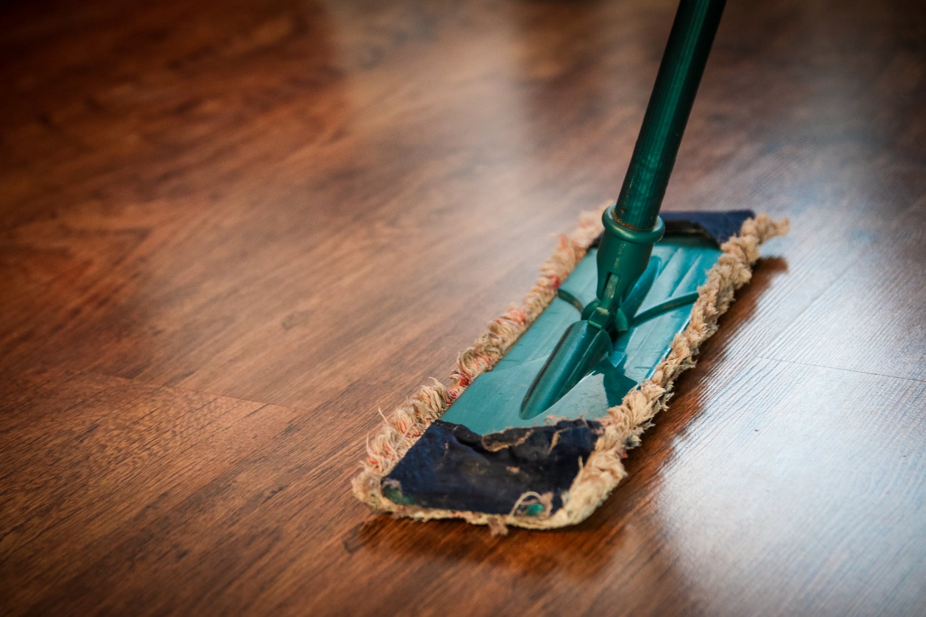 Professional cleaner mopping the floor